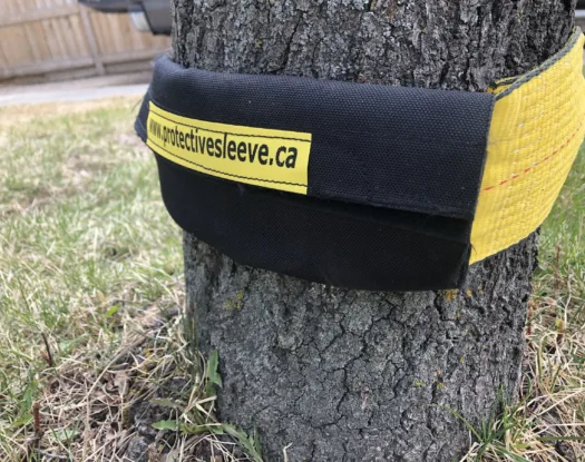 Strap saver protecting a strap wrapped around a tree